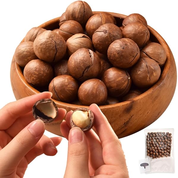 Amazon.co.jp: 殻付きマカデミアナッツ454g 殻割り器付き×2箱セット