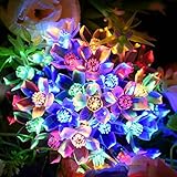Ankway Solar Garden Lights, Flower Shape 30 LEDs 16FT Multi-Color Led Christmas Lighting by Ankway