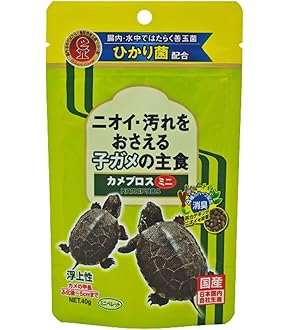 亀です 79-83 Datsun 280zx Turbo Right Complete Rear CV Axle Shaft