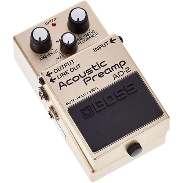 Amazon.co.jp: L.R.Baggs Align Series Session アコギ用スタジオ