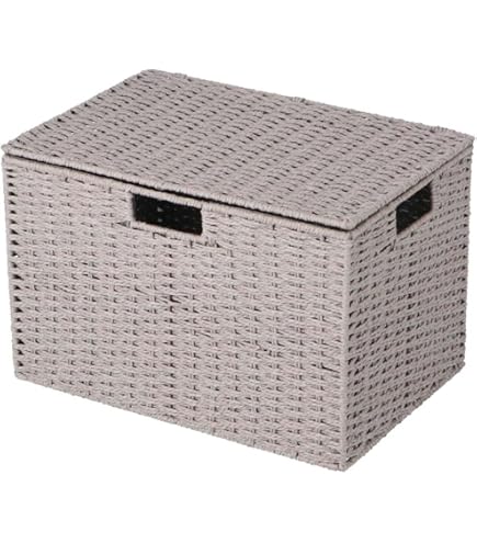 Amazon.co.jp: PPバスケット ふた付き23cm 58-81DBR : 産業・研究開発用品