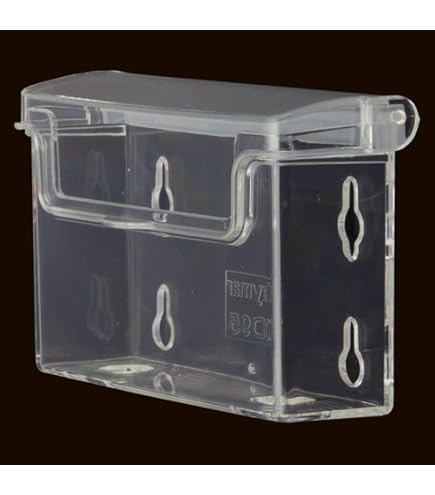 Amazon.co.jp: 映画パンフレット 「アブラハム渓谷」 監督 マノエル