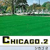 芝の種：ケンタッキーブルーグラス シカゴ2 1kg[優れた耐寒性と耐病性！濃緑の高品質ターフ] ノーブランド品