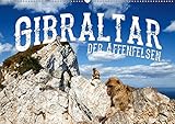 Gibraltar - der Affenfelsen (Wandkalender 2019 DIN A2 quer): Europas einzige wildlebende Affen in einer atemberaubenden Landschaft (Monatskalender, 14 Seiten )