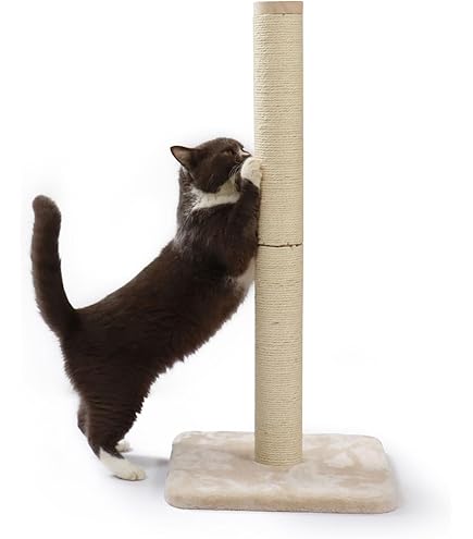 （まとめ）CT-412どこでもツメとぎタワーロング80cm〔×2セット〕