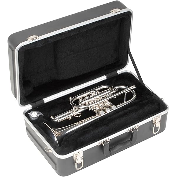 Amazon | SKB コルネット用ハードケース 1SKB-325 | 金管楽器ケース