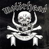 �}�[�`�E�I�A�E�_�C