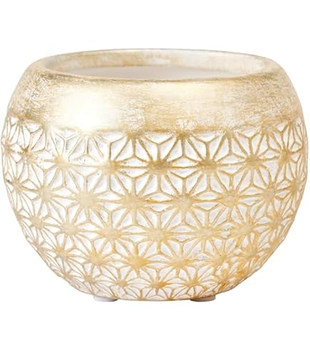 Amazon.co.jp: き ヘレンド ウイーンの薔薇オリエンタルボウル4