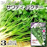 コリアンダー・サワディパクチー9cmポット苗（５ポットセット）