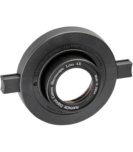 Lente macro Raynox DCR-250: opinión e imágenes de muestra | Fotografía