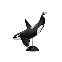 アクアテイルズ