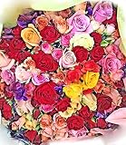 産地直送☆バラ50本の花束♪