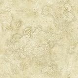 Chesapeake DLR47543 Hardings Beige World Map Wallpaper by Chesapeake