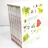 LOVE STORY ラブストーリー DVD BOX TBSドラマ 全話セット 全6巻 中山美穂 豊川悦司