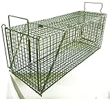 捕獲器ジャンボオリーブ　ＲＢ－45