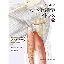 解剖学アトラス 第10版 解剖学アトラス 原著第10版 / Anatomy 今日も明日も/解剖学