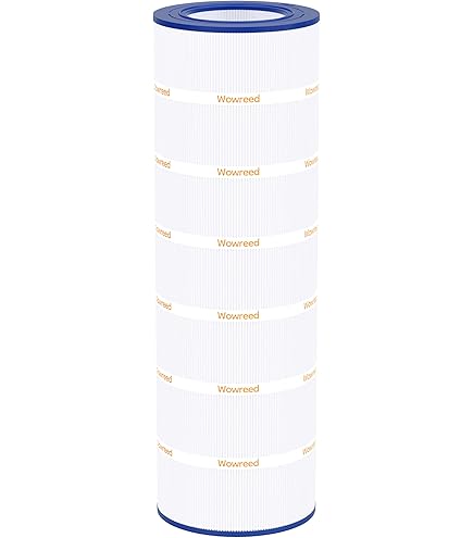 Cryspool Filtro piscina di ricambio per Clean & Clear 200, CC200, PAP200, R173217, Unicel C-9419, Filbur FC-0688, 59054400, Aladdin 29902, 200 piedi quadrati