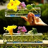 Lovoski ガラス製 花瓶 水耕栽培容器 植物 花 風景 DIY 装飾 ボトル インテリア 飾り 結婚式 プレゼント