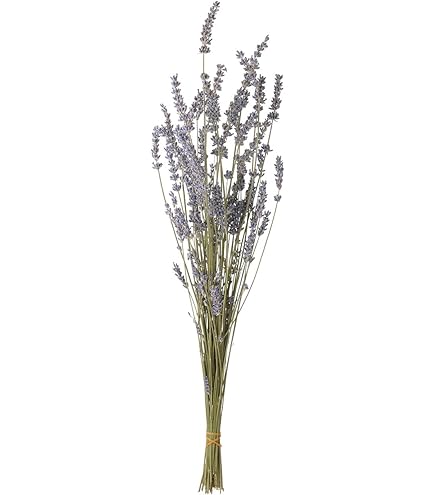ミシャ　　ラベンダードライフラワー　1300本 ミシャ様専用 ラベンダードライフラワー 1300本