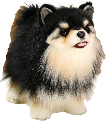 Amazon.co.jp: オーロラワールド ぬいぐるみ ハローキティ ファンシー