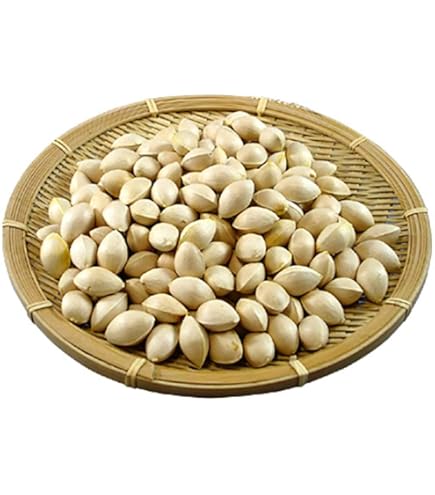 Amazon.co.jp: 新銀杏 2023年物 殻付ぎんなん サイズ：中 500g : 食品