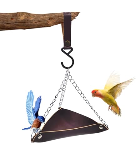 Amazon.co.jp: VODORA バードフィーダー 餌入れ アイアン 鳥 餌台 餌