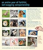 Image de Dog Gallery 2018 Calendar