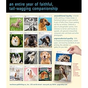 Dog Gallery 2018 Calendar
