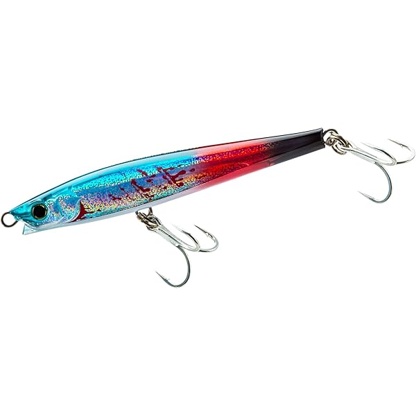 Amazon.co.jp: 空撮 青森の海釣りベストポイント : 東奥日報社, 国際