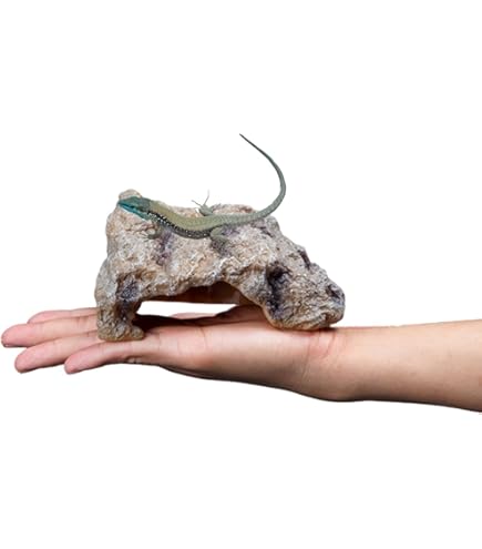 Amazon.co.jp: 暖突（ダントツ） Sサイズ（W190×H21×D130mm