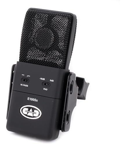 Amazon | CAD Audio E300S Large Diaphragm Multi-Pattern Condenser