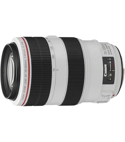 SIGMA CanonEFレンズ 70-300mm Amazon.com : Sigma 70-300mm f/4-5.6 DG Macro Telephoto Zoom