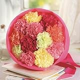 母の日 花束「ハッピーキャンディ」 日比谷花壇