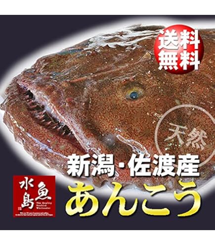 あんこうページ Amazon.co.jp: 魚水島 新潟・佐渡産 天然 あんこう アンコウ 一匹丸