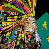 Wheatpaste Art Collective Neon Native Stretched Canvas Wall Art by Jennifer Mercede, 24-Inch by 24-I
