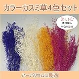 あいむ　カラーカスミソウ４色セット