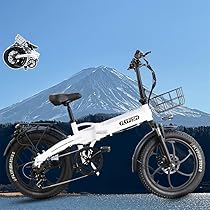 『超格安』flyfish 電動アシスト自転車 折り畳み　訳あり 610BtsoVIDL._AC_UL210_SR210,