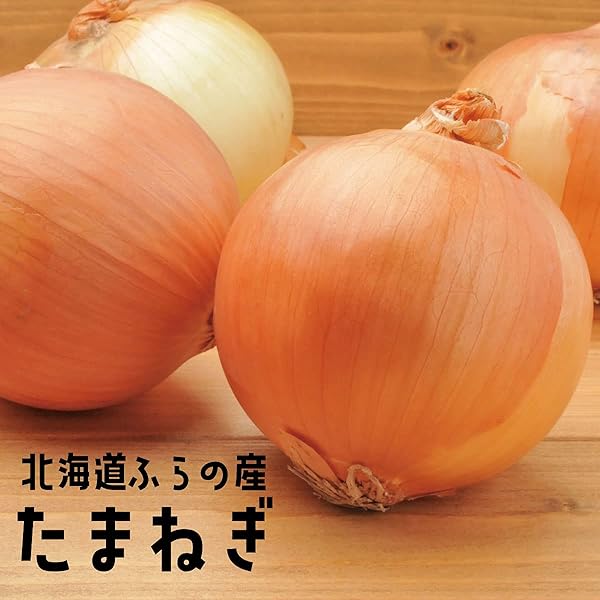 玉ねぎ 楽天市場】【たまねぎ】【新玉ねぎ】【浜松篠原産】【無選別】最