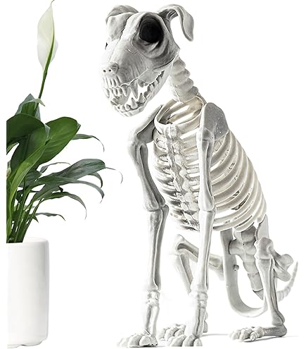 新品　ジェリーキャット　スケルトン　骸骨　スケルトンドッグ　dog 犬 Jellycat Skeledog Dan ジェリーキャット スケルトンダン 骸骨