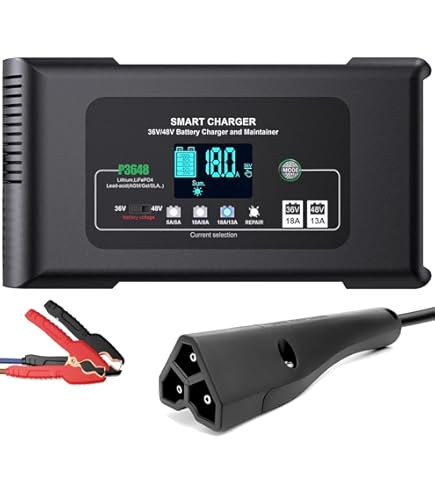 Shimano Di2 Bt-Dn300 Battery, Built-In Type : Amazon.sg: Automotive