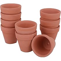 Amazon.co.jp: ルボナリエ 陶器鉢 ミニ 植木鉢 多肉植物鉢 フラワー