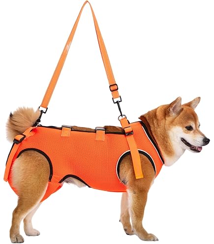 Amazon | With(ウィズ) 歩行補助ハーネス LaLaWalk 中型犬