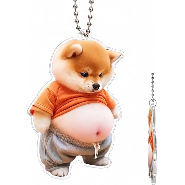 Amazon.co.jp: [aninako] 柴犬 キーホルダー 可愛い犬のキーホルダー