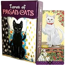 猫屋小铺‬製 ブラックスワン（タロット付き） ゴールデン・ブラック・キャット タロット – クロノスゲート公式通販