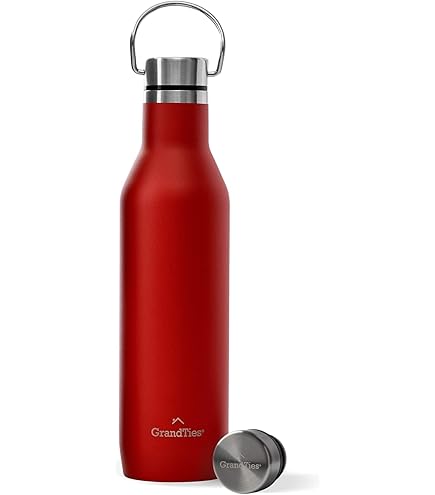 Amazon｜Guzzini グッチーニ ダブルウォールサーモボトル 500ml ENERGY