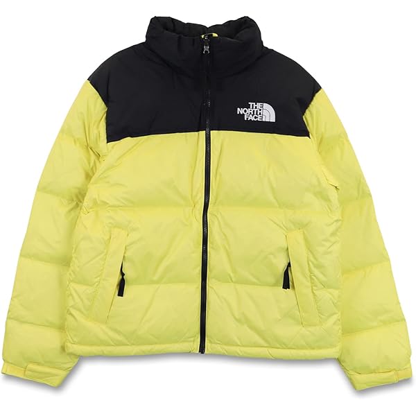 【美品】THE NORTH FACE 1996 レトロ　レオパード　ヌプシ tnf-nj1dm90-1.jpg