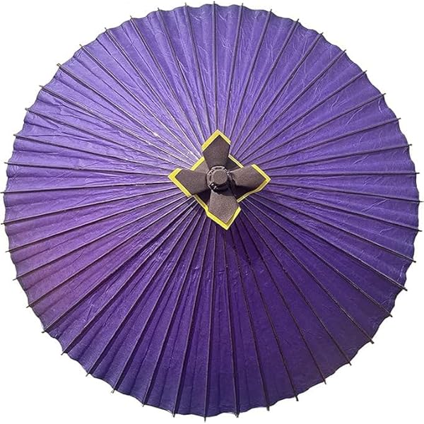 Amazon | 蛇の目傘 和傘 番傘 紙張り 紫無地 | 長傘 通販