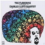 �t���������O