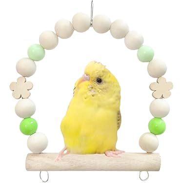 Amazon.co.jp 売れ筋ランキング: 鳥用ブランコ の中で最も人気のある