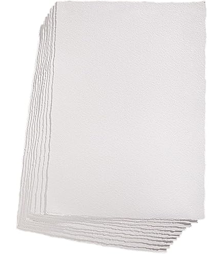 Amazon.co.jp: アルシュ社製 木炭紙 MBM 特厚口130g 500×650mm 10枚組